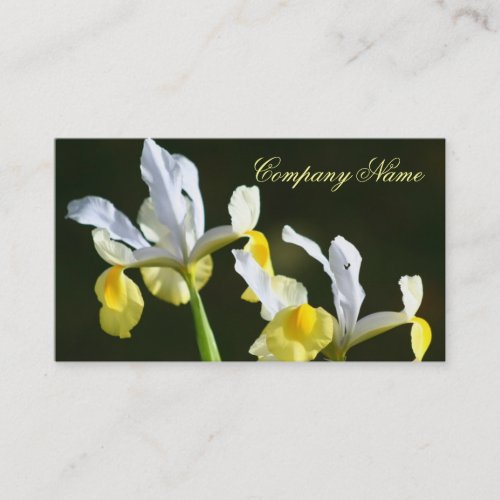 Iris Business cards