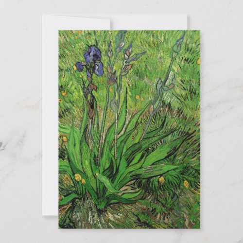 Iris by Vincent van Gogh Vintage Garden Fine Art