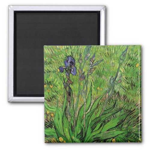 Iris by Vincent van Gogh Vintage Garden Fine Art Magnet