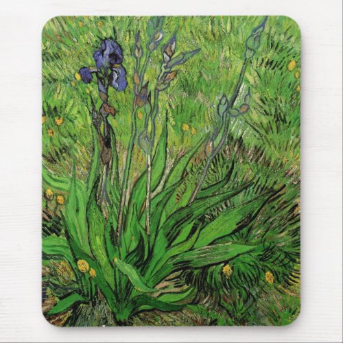 Iris by Vincent van Gogh Vintage Garden Fine Art Mouse Pad