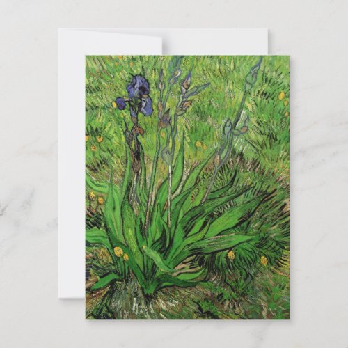 Iris by Vincent van Gogh Vintage Garden Flowers