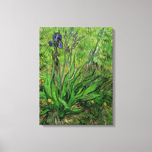 Iris by Vincent van Gogh Vintage Garden Flowers Canvas Print