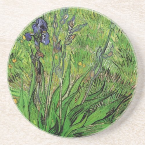 Iris by Vincent van Gogh Vintage Garden Flowers Sandstone Coaster