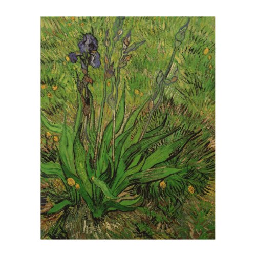 Iris by Vincent van Gogh Vintage Garden Flowers Wood Wall Art