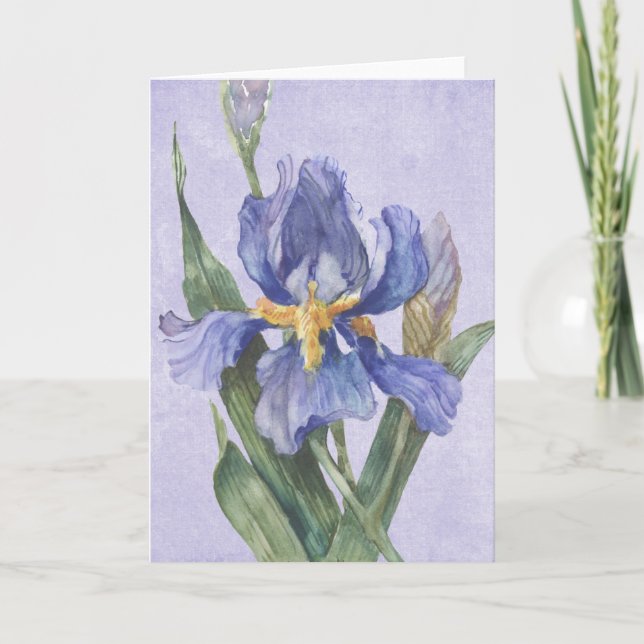 Iris Card (Front)
