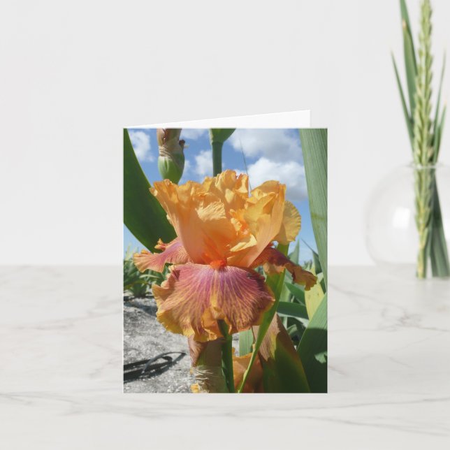 IRIS CARD - BOTTLE ROCKET - Blank Note Card (Front)