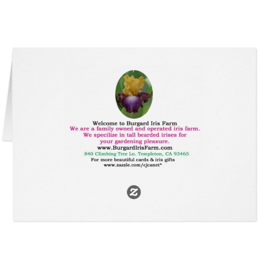 IRIS CARD PRETTY PASTEL - Blank Card (Back Horizontal)