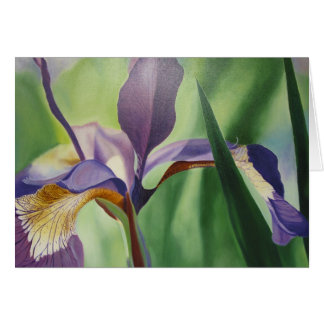 Iris Cards