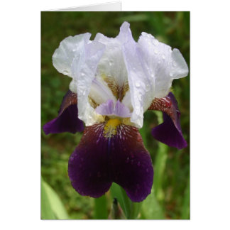 Iris Cards