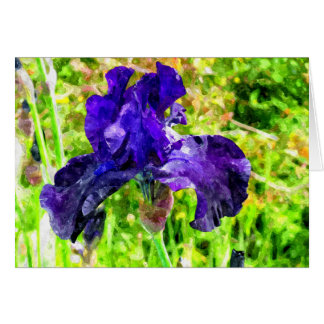 Iris Cards