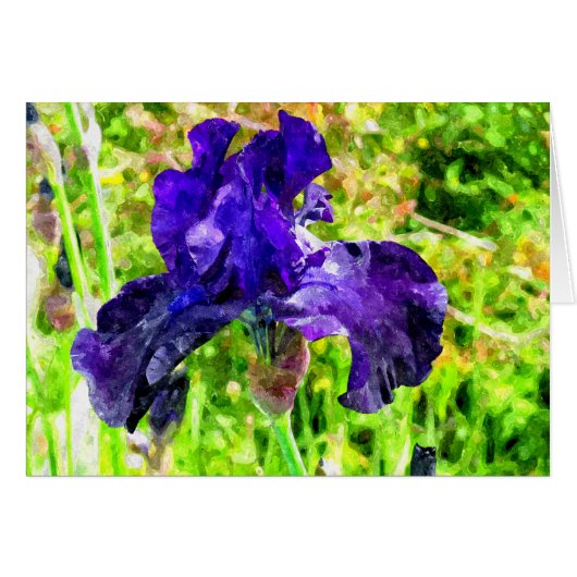 Iris Cards (Front Horizontal)