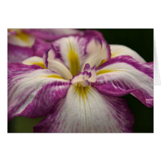 Iris Cards