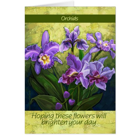 Iris Cards (Front)