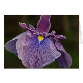 Iris Cards