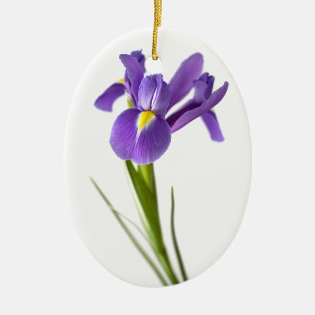 Iris Ceramic Ornament (Front)