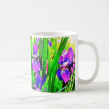 Iris