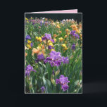 Iris Cottage Garden Purple Iris Irises floral Card<br><div class="desc">Iris Cottage Garden Purple Iris Irises floral Card. Designed from one of my original garden photographs & my original writing,  enjoy!</div>