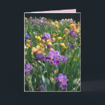 Iris Cottage Garden Purple Iris Irises floral Card<br><div class="desc">Iris Cottage Garden Purple Iris Irises floral Card. Designed from one of my original garden photographs & my original writing,  enjoy!</div>