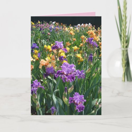 Iris Cottage Garden Purple Iris Irises floral Card