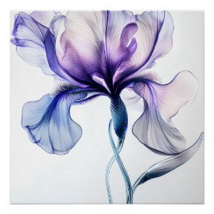 Iris Delicate in Flowers Poster