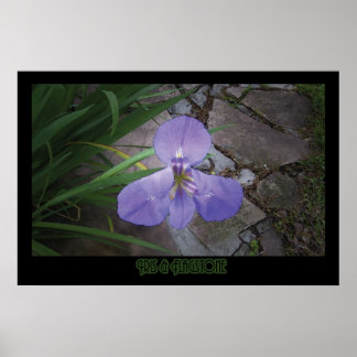 "Iris & Flagstone" - Print