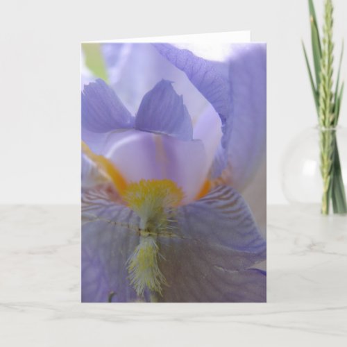 Iris Flower Blank Inside All Occasions Card