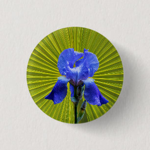 Iris flower button