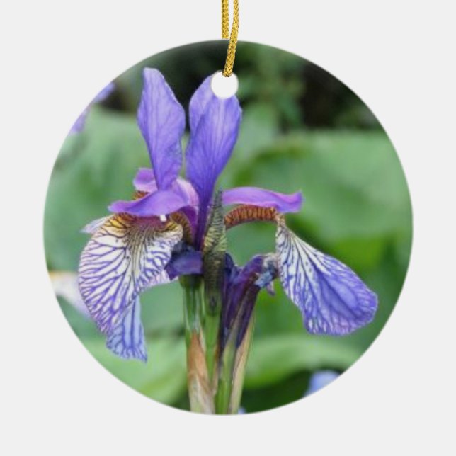 Iris Flower Ceramic Ornament (Front)