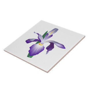 Iris Flower Ceramic Tile