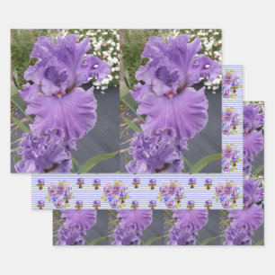 Iris Flower Flowers Purple Lavender Lilac Floral Wrapping Paper Sheets