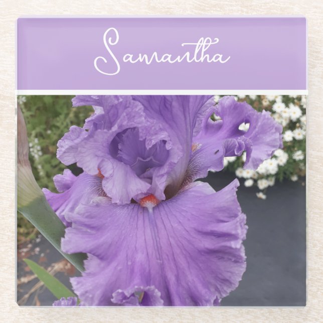 Iris Flower Flowers Purple Lavender Womans Name Glass Coaster (Front)