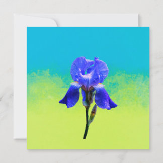 Iris flower holiday card