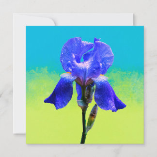 Iris flower invitation