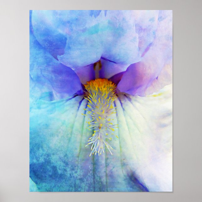 Iris Flower Macro Photographic Wall Art (Front)