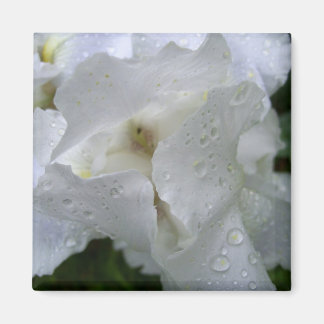 Iris flower magnet
