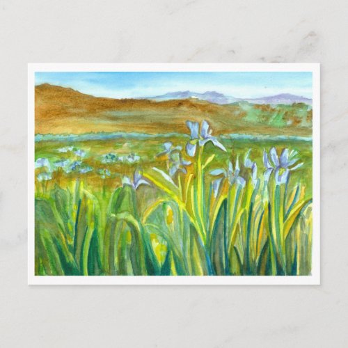 Iris Flower Meadow Watercolor Mountain Landscape Postcard