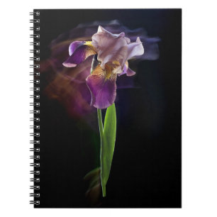 Iris flower on a black background. Long exposure. Notebook