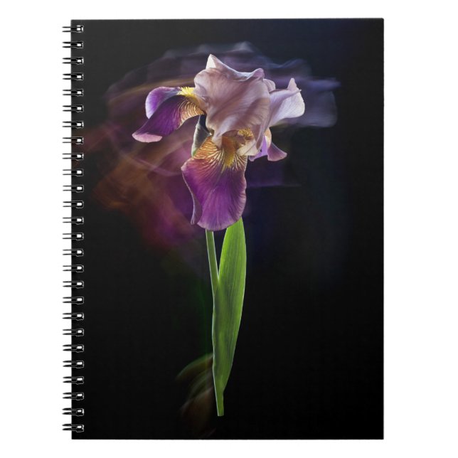 Iris flower on a black background. Long exposure. Notebook (Front)