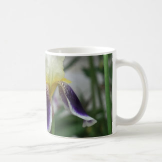 Iris Flower Photo Mug