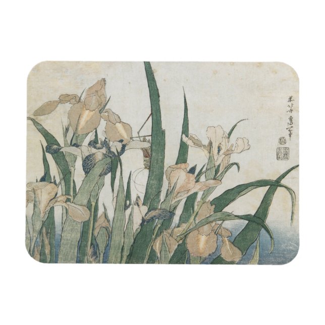 Iris Flowers and Grasshopper, c.1830-31 Magnet (Horizontal)