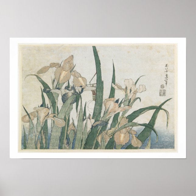 Iris Flowers and Grasshopper, c.1830-31 Poster (Front)