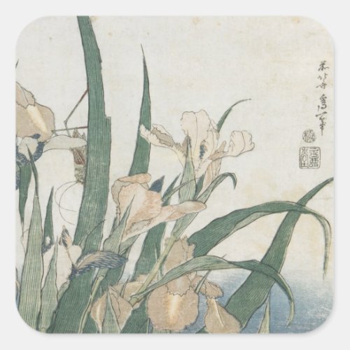 Iris Flowers and Grasshopper c1830_31 Square Sticker