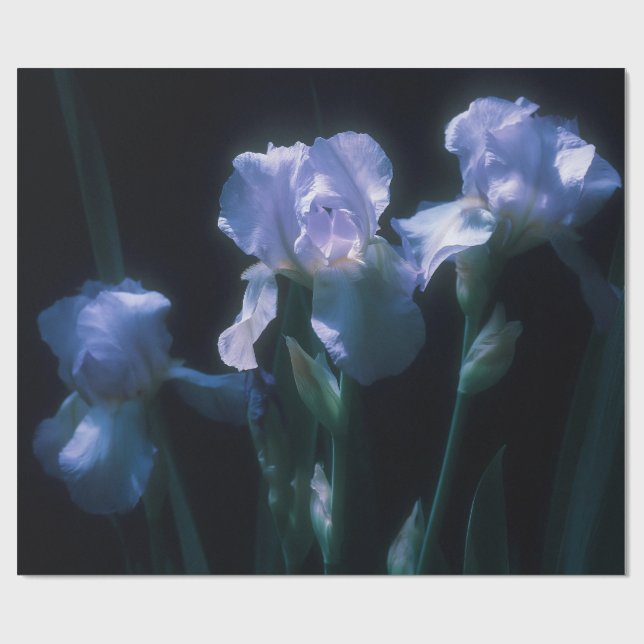 Iris Flowers at Twilight Wrapping Paper (Flat)