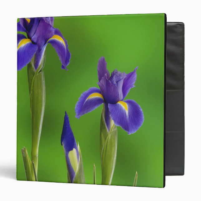 Iris Flowers Binder (Front/Inside)