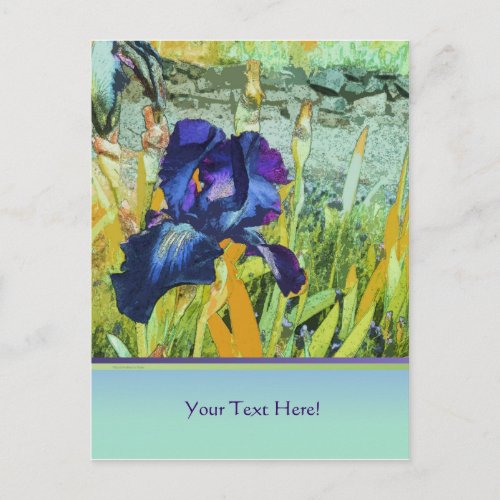 irisflowersfloralgiftsirisespetalsbluebeaut postcard