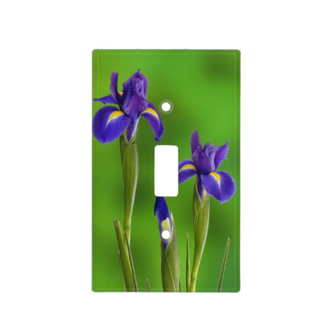 Iris Flowers Light Switch Cover (Front)