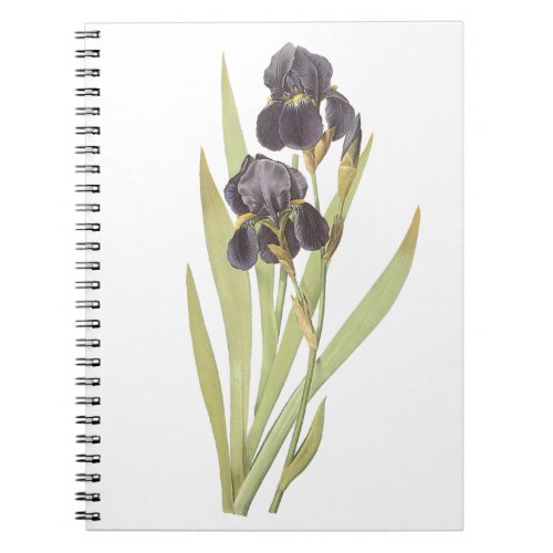 Iris Flowers Notebook