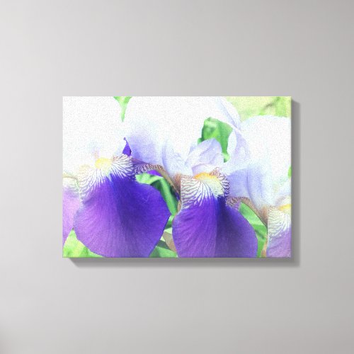 Iris Flowers Photography Canvas Print