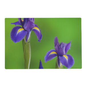 Iris Flowers Placemat