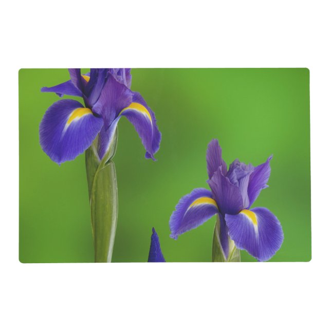 Iris Flowers Placemat (Front)